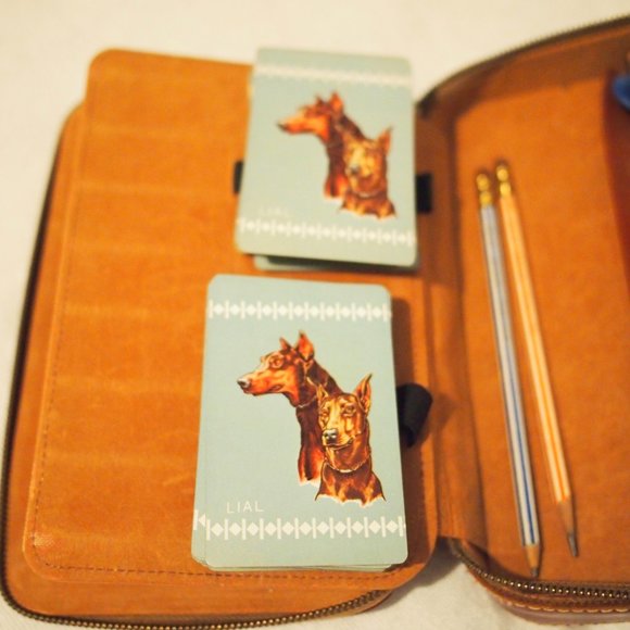 vtg DUNHILL Cowhide Leather Case Poker Chips Bridge LIAL Doberman Playing Cards - Picture 5 of 14